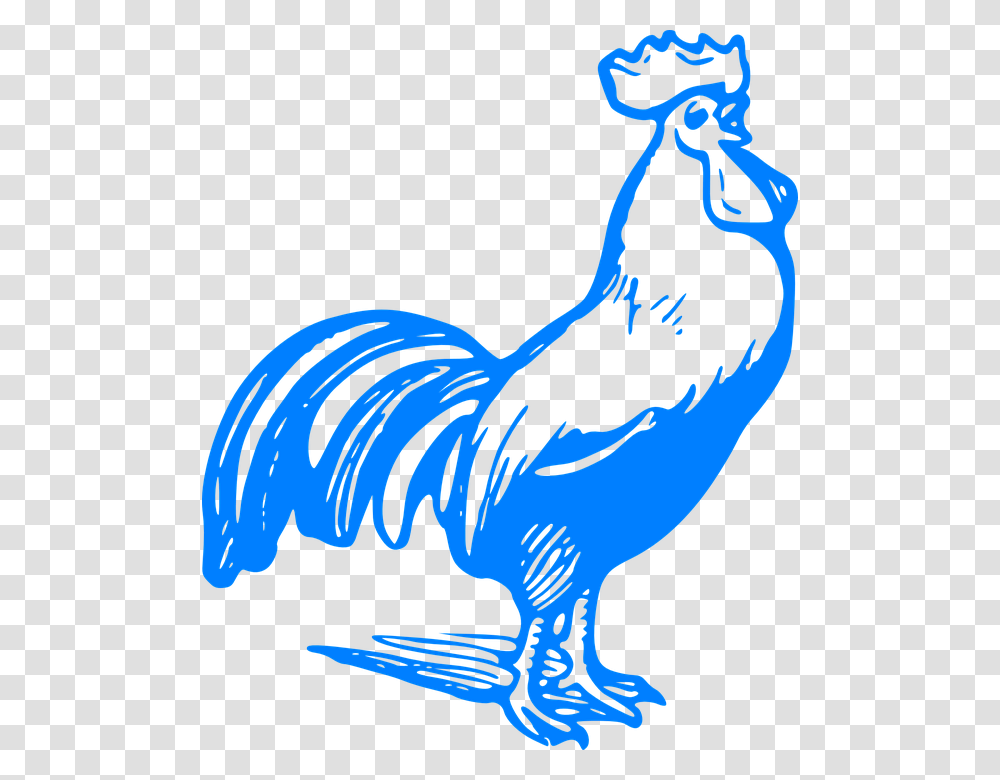 Blue Rooster Clipart, Animal, Bird, Poultry, Fowl Transparent Png