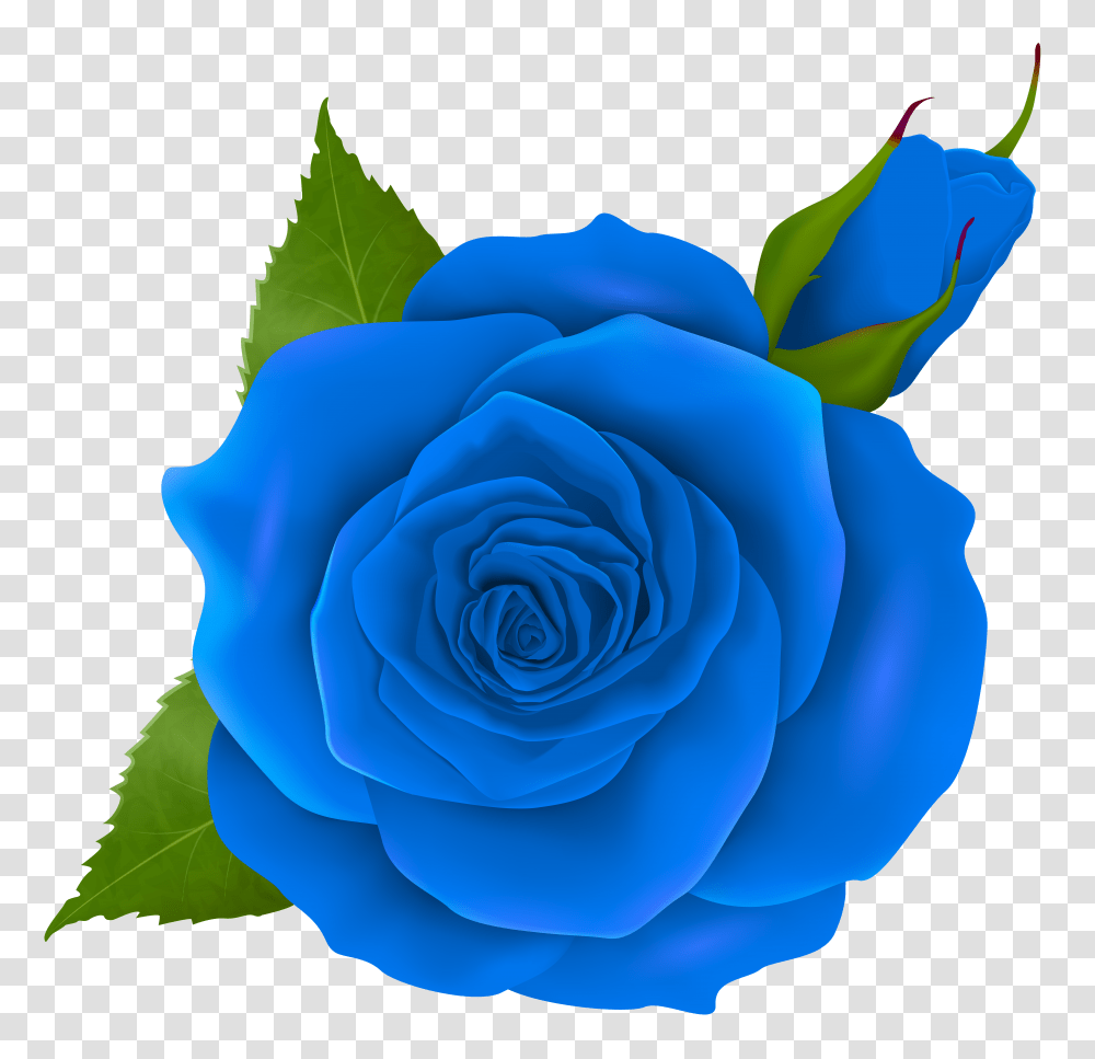 Blue Rose And Bud Clip Transparent Png