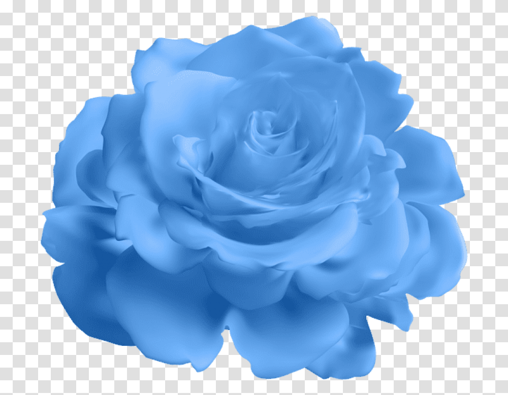 Blue Rose Background Blue Flower, Plant, Blossom, Dahlia Transparent Png