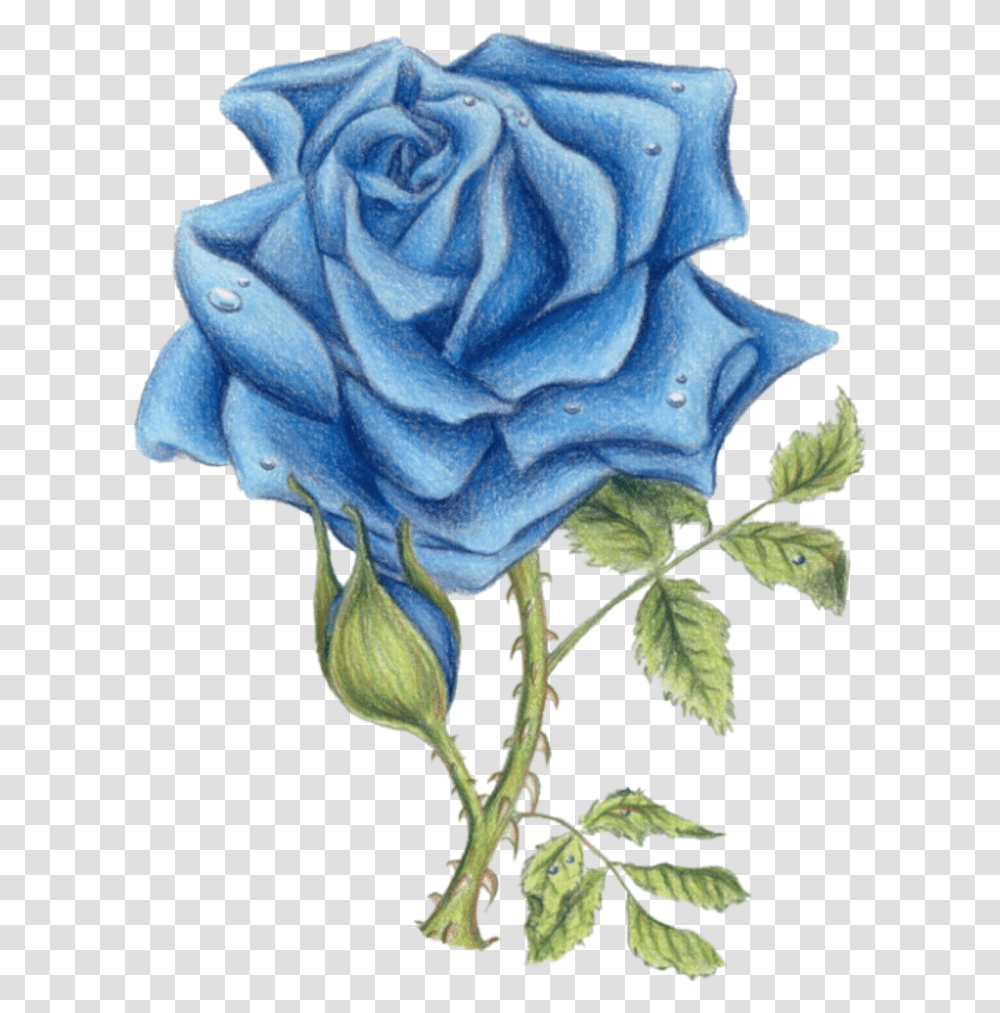 Blue Rose By Ded Blue Rose Images With Background, Floral Design, Pattern Transparent Png