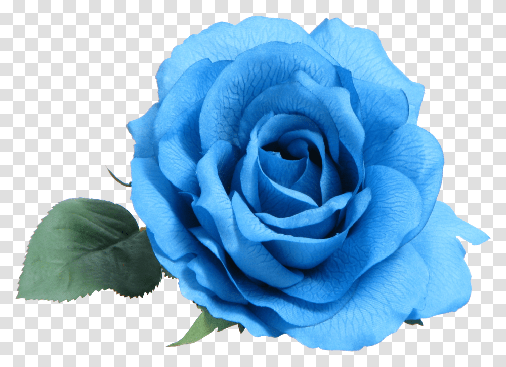 Blue Rose Clip Art Blue Flower Transparent Png
