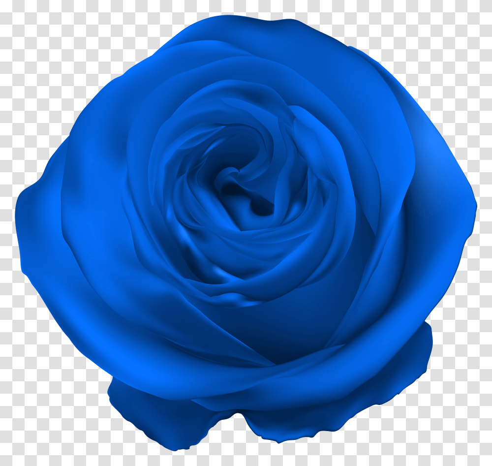Blue Rose Clip Art Gallery Yopriceville Purple Rose Transparent Png