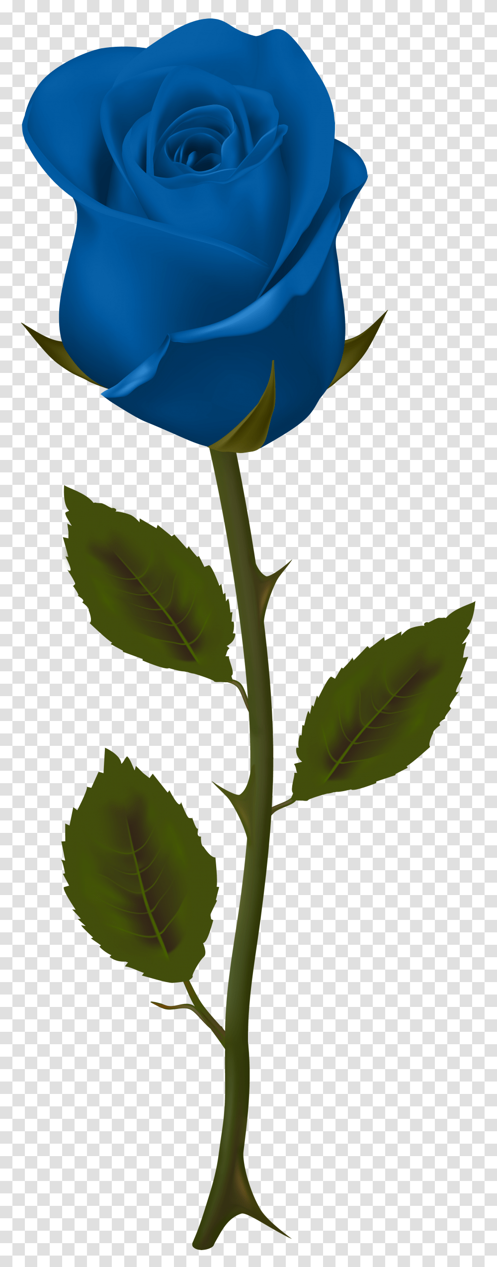 Blue Rose Clip, Plant, Animal, Zipper, Plot Transparent Png