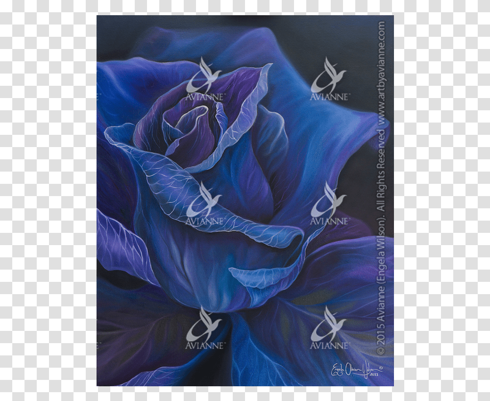 Blue Rose, Plant, Floral Design Transparent Png