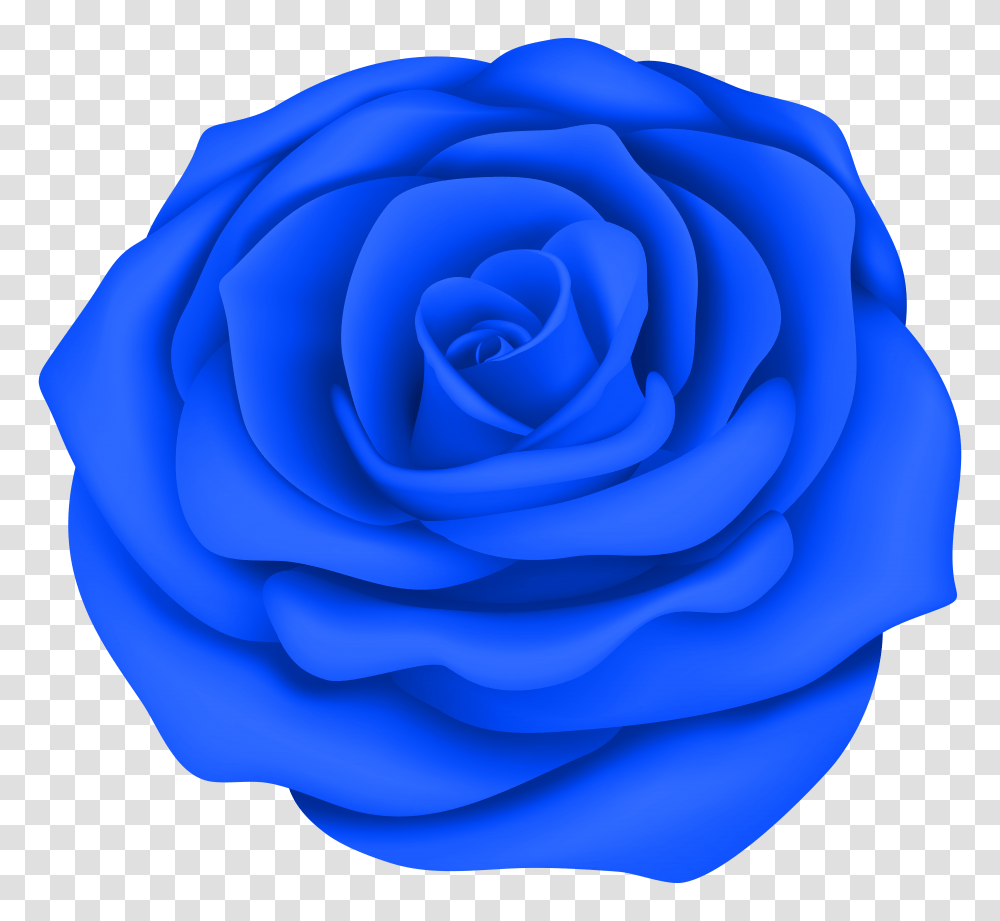 Blue Rose Flower Clip Art Gallery Transparent Png