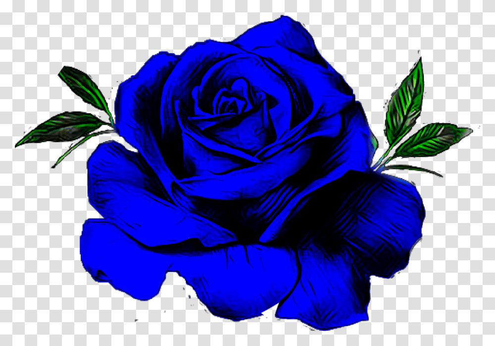 Blue Rose Flower Floribunda, Plant, Blossom Transparent Png