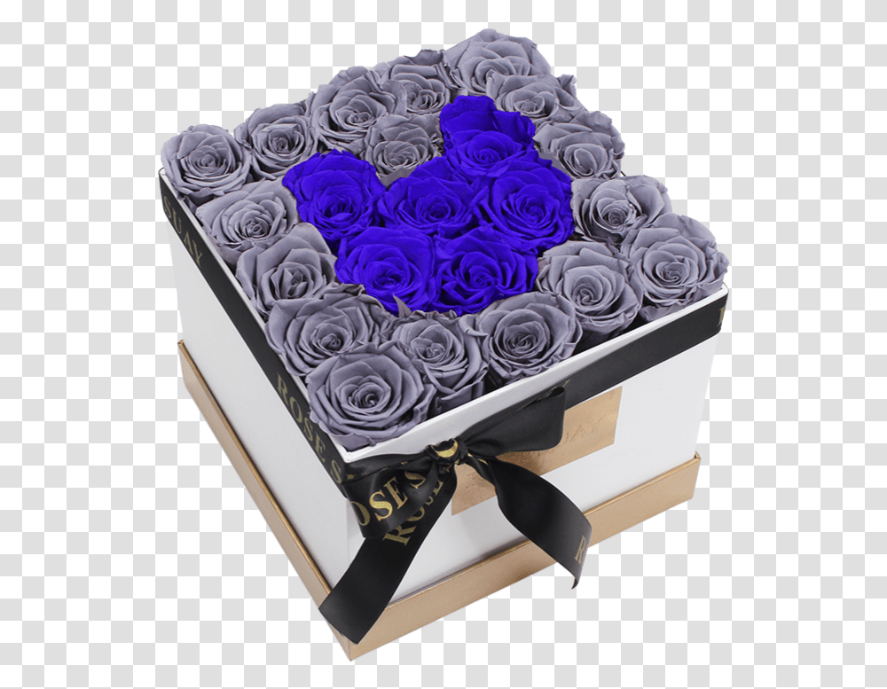 Blue Rose, Flower, Plant, Blossom Transparent Png