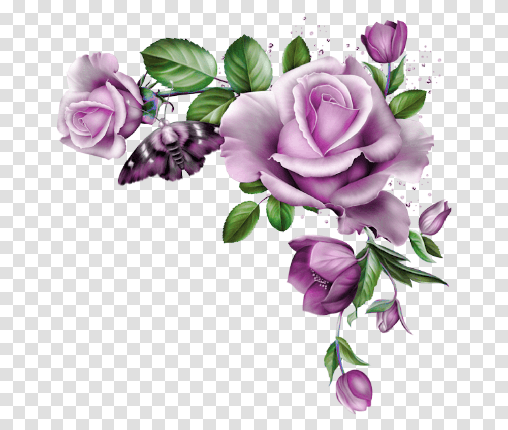 Blue Rose Frame, Plant, Flower, Blossom, Floral Design Transparent Png