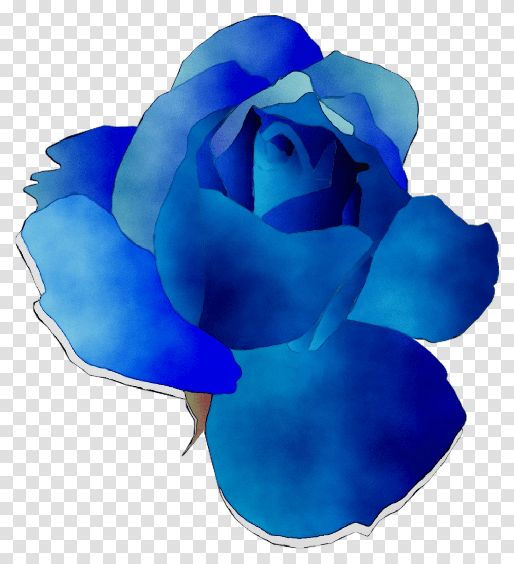 Blue Rose Garden Roses Cut Flowers Floribunda, Plant, Blossom, Ornament, Pattern Transparent Png