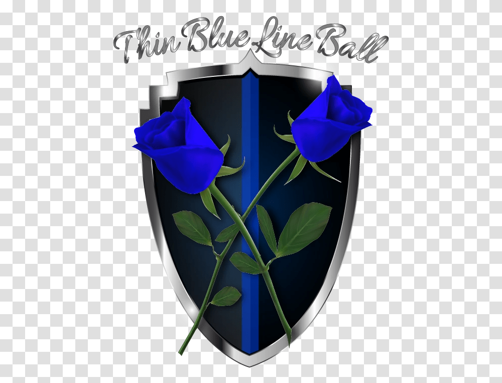 Blue Rose Garden Roses, Flower, Plant, Blossom, Petal Transparent Png