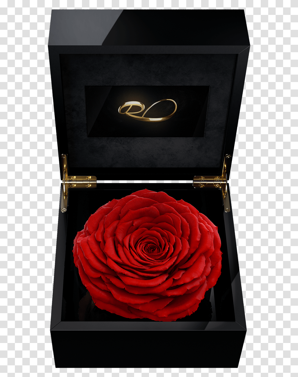 Blue Rose In A Box, Flower, Plant, Dahlia, Weapon Transparent Png