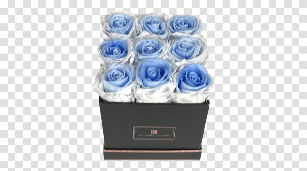 Blue Rose, Nature, Ice, Outdoors, Snow Transparent Png