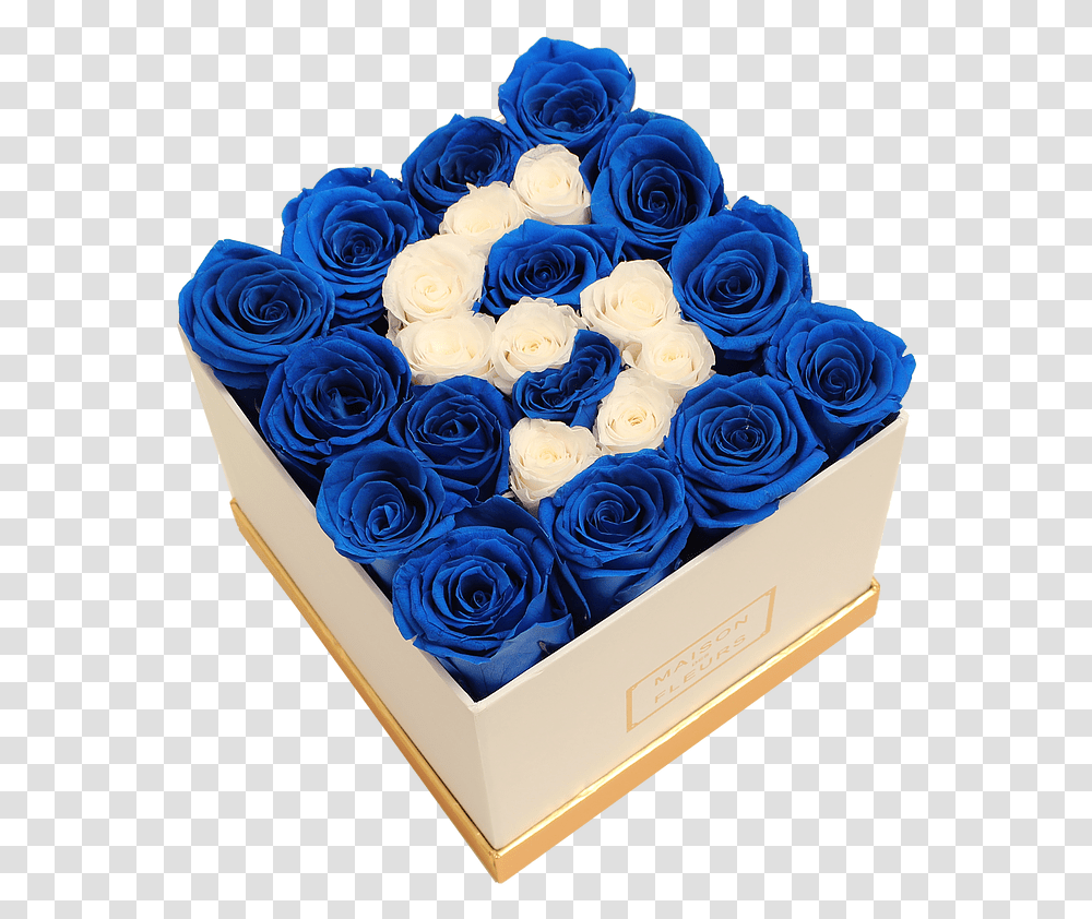 Blue Rose, Plant, Flower, Blossom, Flower Bouquet Transparent Png