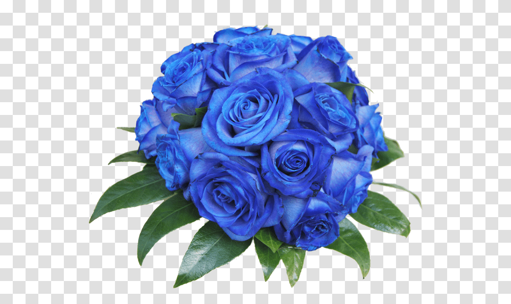Blue Rose, Plant, Flower, Blossom, Flower Bouquet Transparent Png