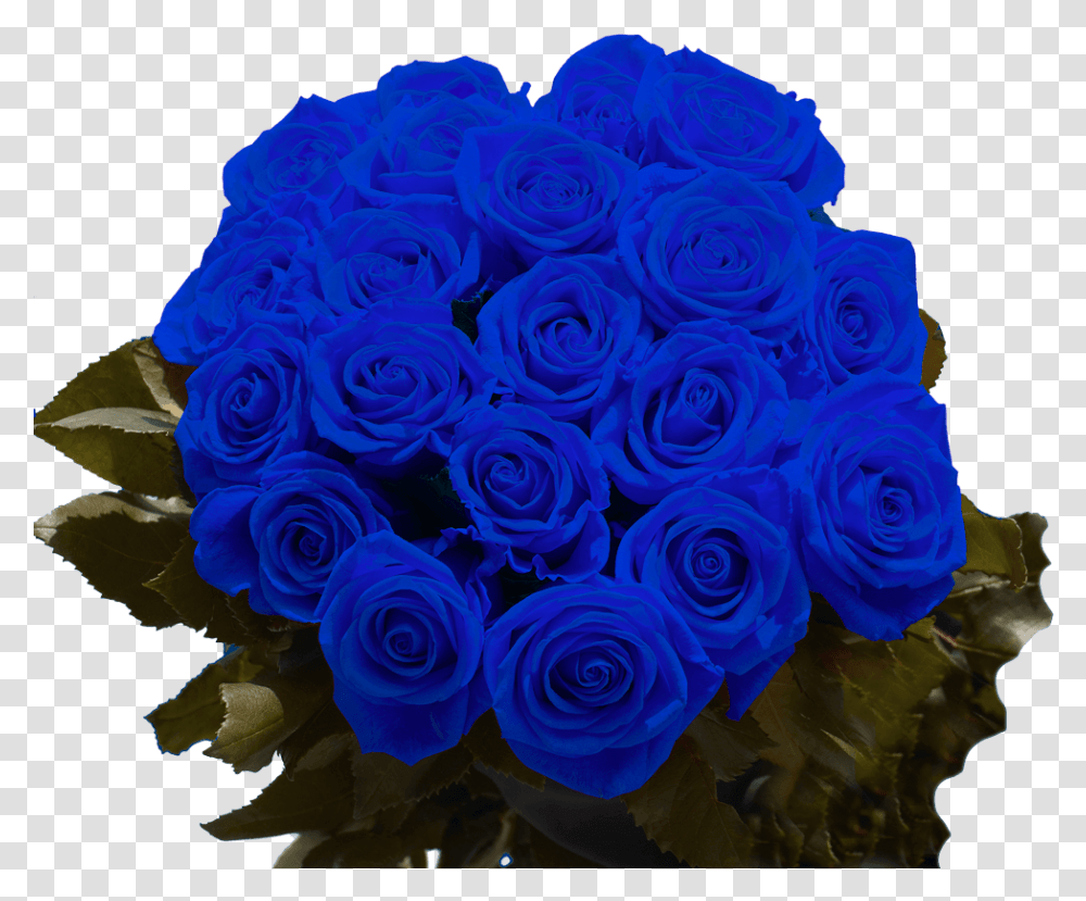 Blue Roses For Sale Next Day Delivery Blue Rose, Plant, Flower, Blossom, Flower Bouquet Transparent Png