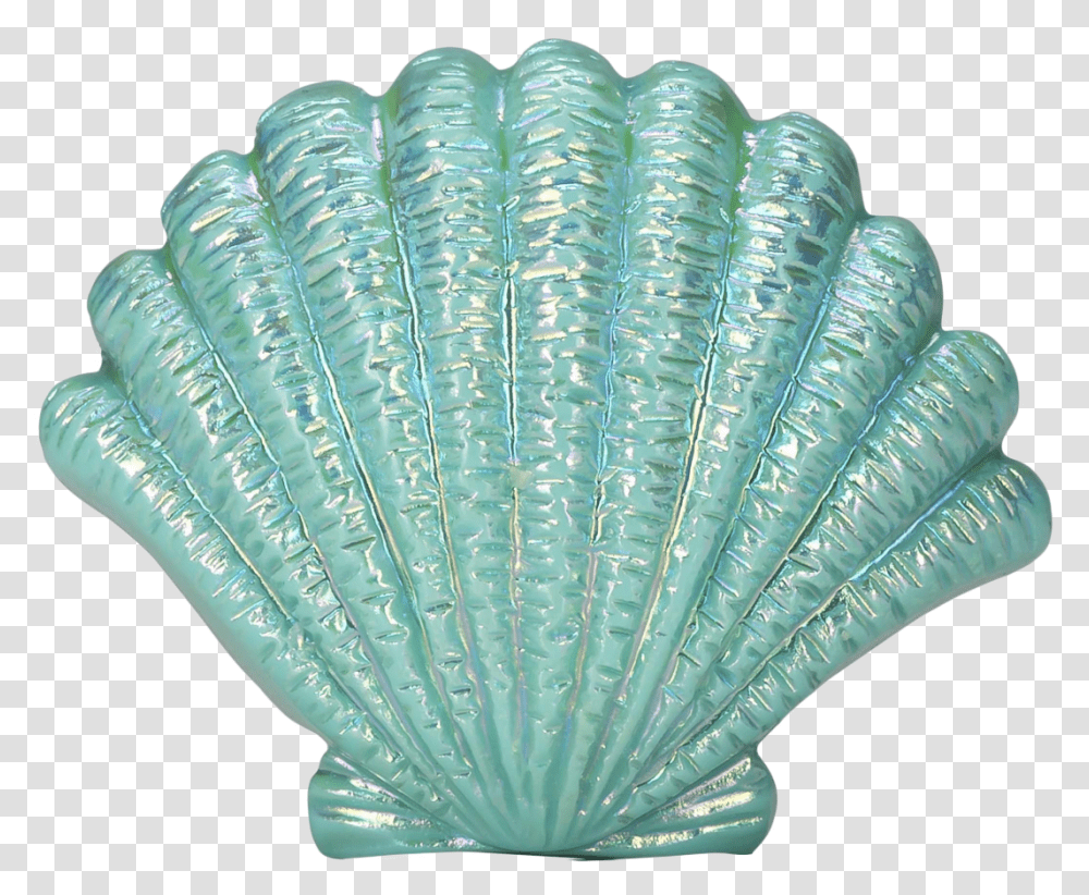 Blue Seashell Image Sea Shell, Clam, Invertebrate, Sea Life, Animal Transparent Png