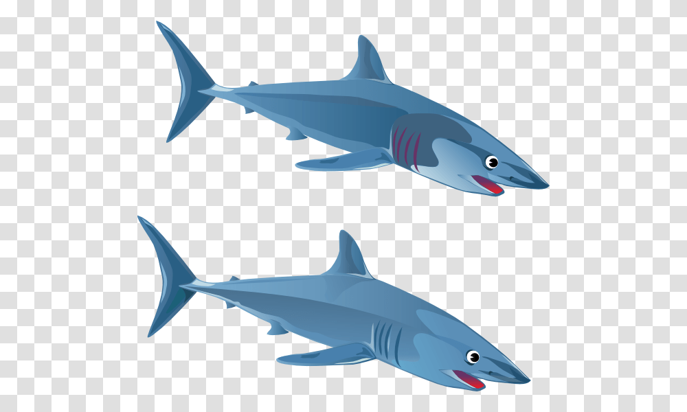 Blue Shark Clip Art, Sea Life, Fish, Animal, Great White Shark Transparent Png