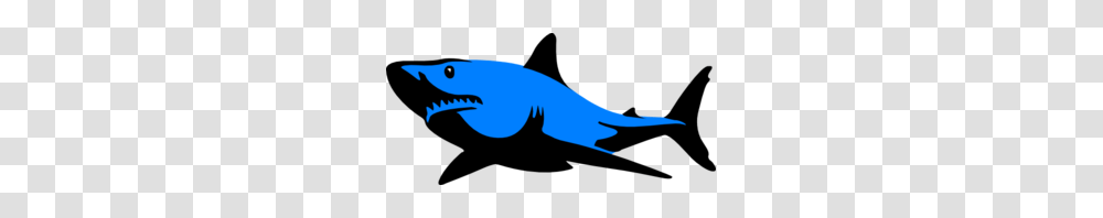 Blue Shark Clipart, Sea Life, Fish, Animal, Amphibian Transparent Png
