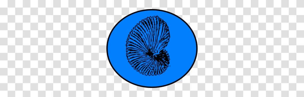 Blue Shell Clip Art, Plant, Flower, Pollen, Tree Transparent Png