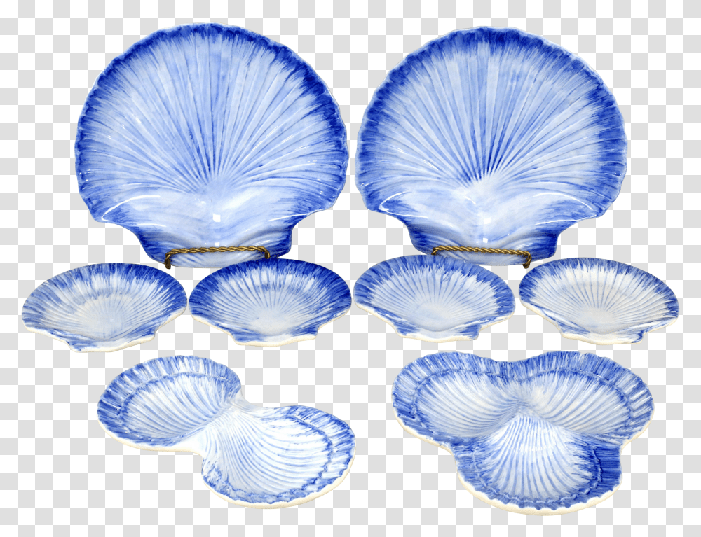 Blue Shell Transparent Png