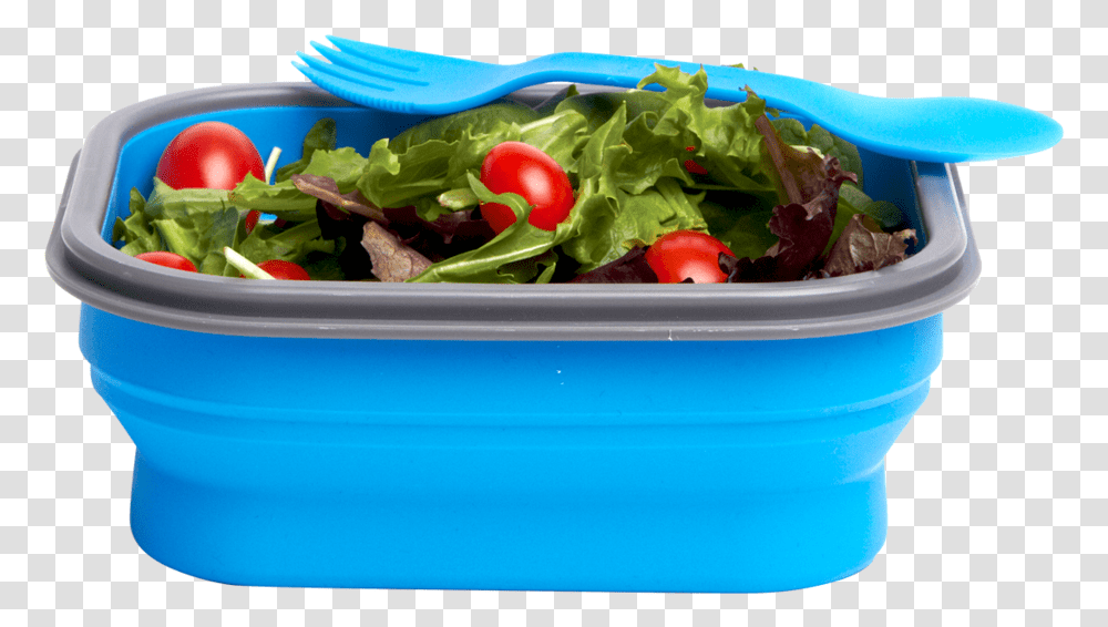 Blue Small Collapsible Lunch Box With Spork Filled Silicone Foldable Lunch Box, Plant, Bowl, Produce, Food Transparent Png