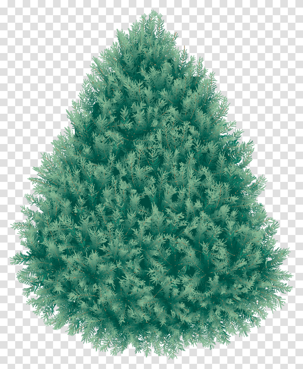 Blue Spruce Background, Tree, Plant, Christmas Tree, Ornament Transparent Png