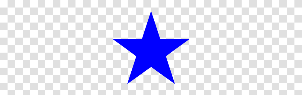 Blue Star Icon, Plant, Fir Transparent Png