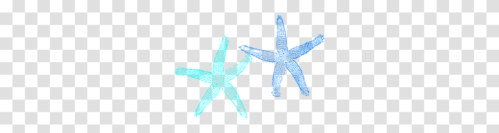 Blue Starfish Clip Art For Web, Cross, Invertebrate, Sea Life Transparent Png