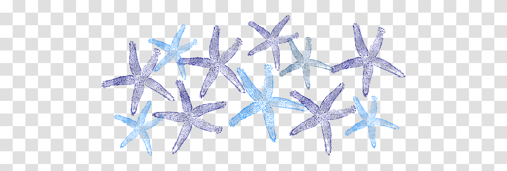 Blue Starfish Clip Art For Web, Invertebrate, Sea Life, Animal, Star Symbol Transparent Png