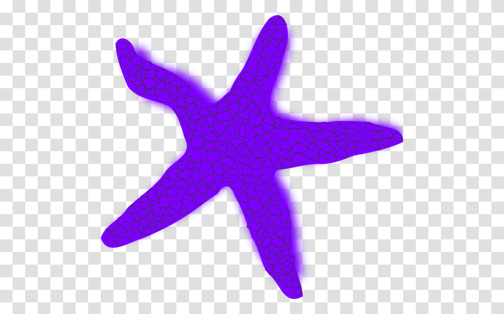 Blue Starfish Cliparts, Sea Life, Animal, Invertebrate Transparent Png