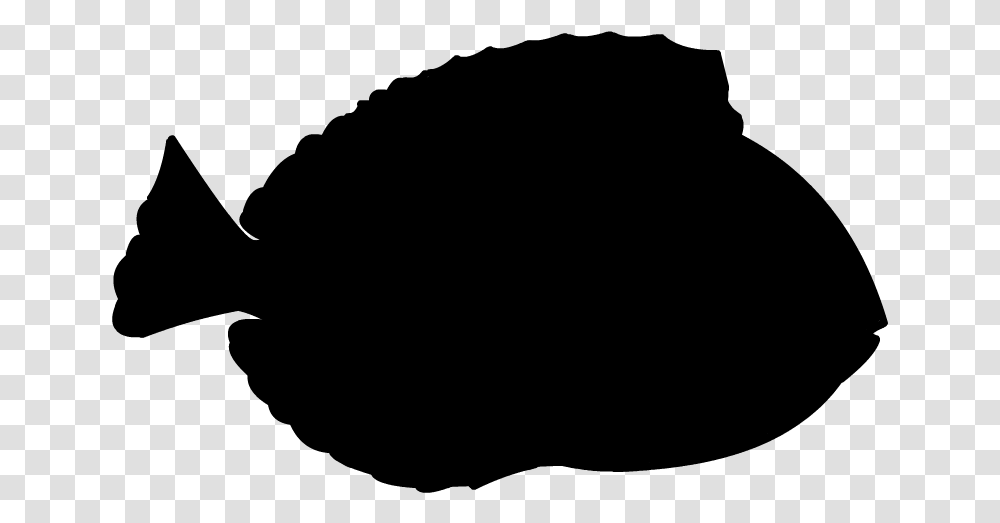 Blue Tang Silhouette, Gray, World Of Warcraft Transparent Png