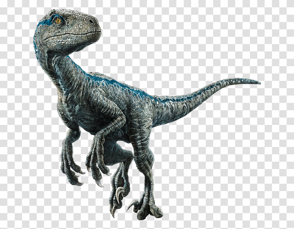 Blue The Velociraptor V4 By Sonichedgehog2 On Jurassic World Blue, T-Rex, Dinosaur, Reptile, Animal Transparent Png