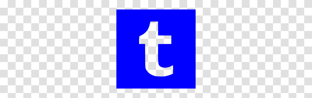 Blue Tumblr Icon, Plant, Fir Transparent Png