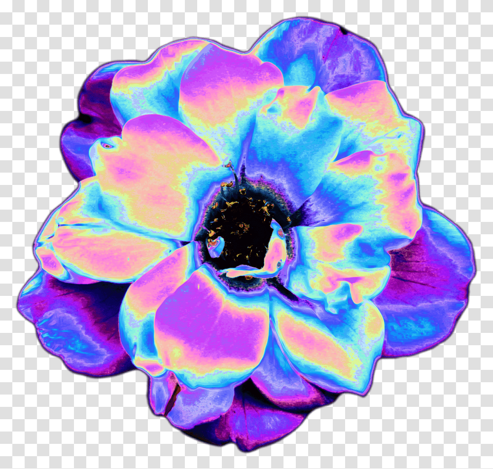 Blue Tumblr Vaporwave Flowers, Rose, Plant, Blossom, Pattern Transparent Png