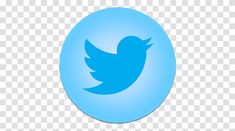 Blue Twitter Icon Twitter Logos Over Time, Text, Symbol, Shark, Sea Life Transparent Png
