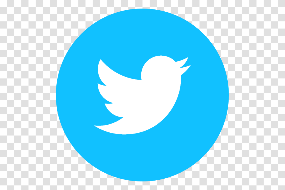 Blue Twitter Twitter Logo Twitterbird Twitterbird Logo Icon, Trademark, Animal, Sphere Transparent Png