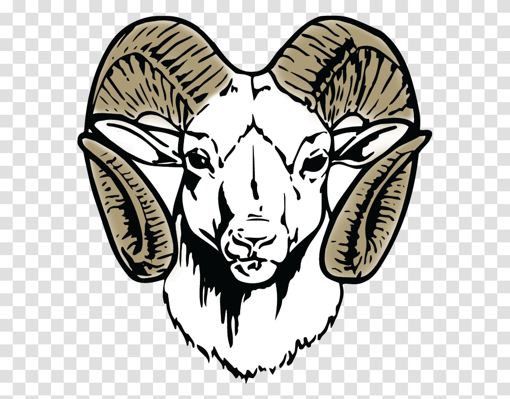 Blue Valley Randolph Rams, Mammal, Animal, Wildlife, Goat Transparent Png