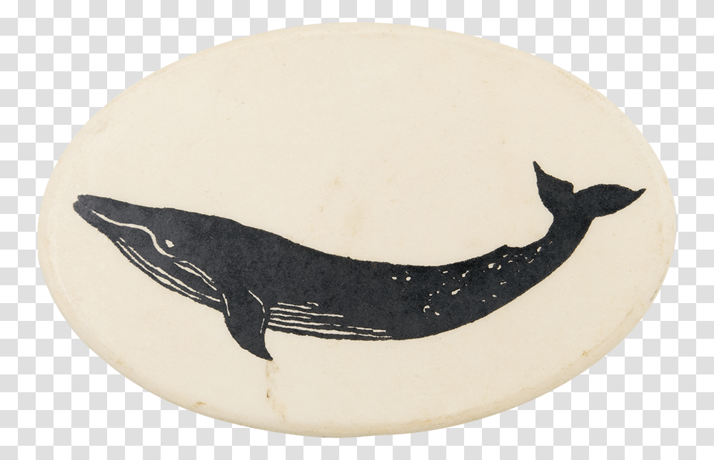 Blue Whale Art Button Museum Humpback Whale, Ball, Sport, Sports, Rugby Ball Transparent Png