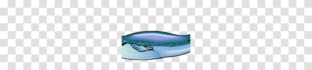 Blue Whale Clip Art Blue Whale Illustrations And Stock Art, Sea Life, Animal, Mammal, Sunglasses Transparent Png