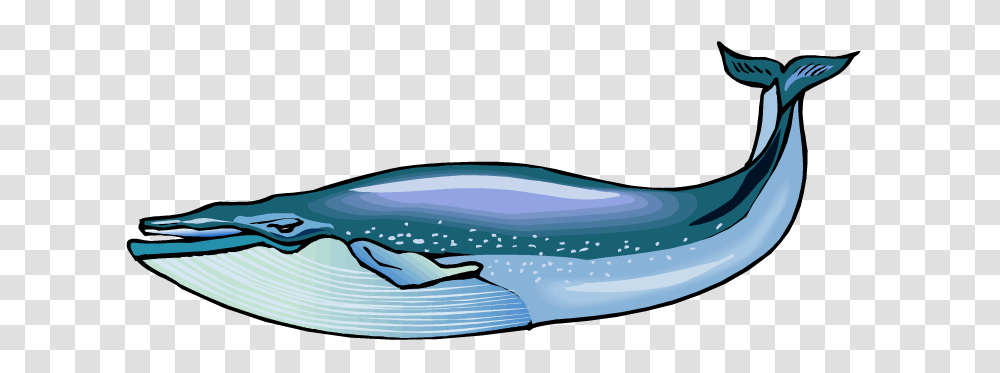 Blue Whale Clip Art, Mammal, Sea Life, Animal, Sunglasses Transparent Png