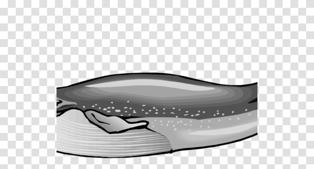 Blue Whale Clipart Black And White, Animal, Sea Life, Mammal Transparent Png