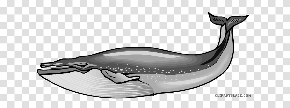 Blue Whale Clipart Black And White, Animal, Sea Life, Scissors Transparent Png
