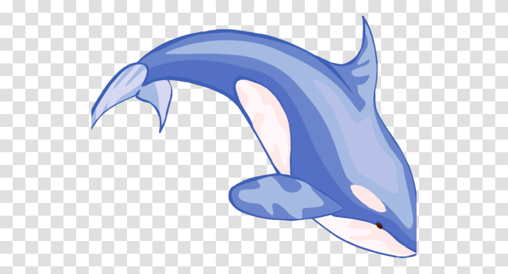 Blue Whale Clipart Mom Baby Whale Cartoon Hd, Dolphin, Mammal, Sea Life, Animal Transparent Png