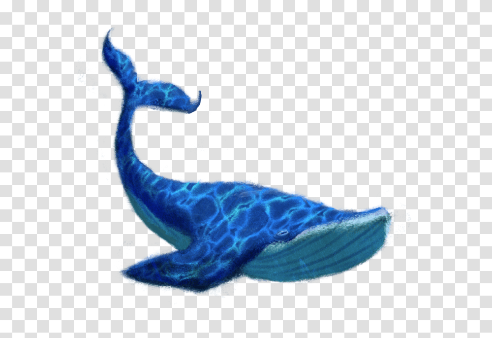 Blue Whale Image, Animal, Sea Life Transparent Png