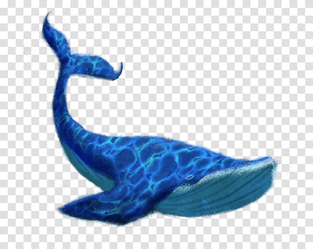 Blue Whale No Background, Sea Life, Animal, Mammal, Person Transparent Png