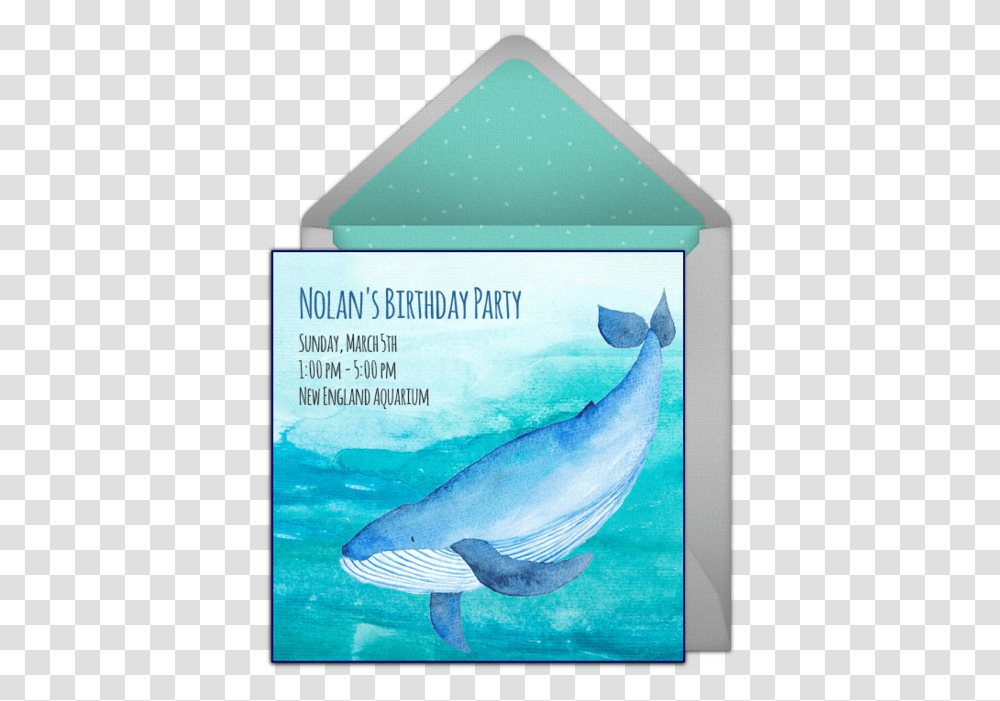 Blue Whale, Sea Life, Animal, Mammal, Envelope Transparent Png