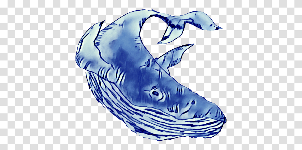 Blue Whale Trading Company Blue Whale Trading Company, Water, Person, Animal, Outdoors Transparent Png