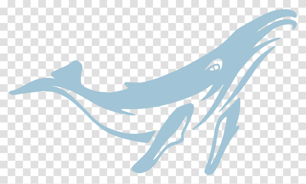 Blue Whale Vector, Animal, Mammal, Sea Life, Wildlife Transparent Png