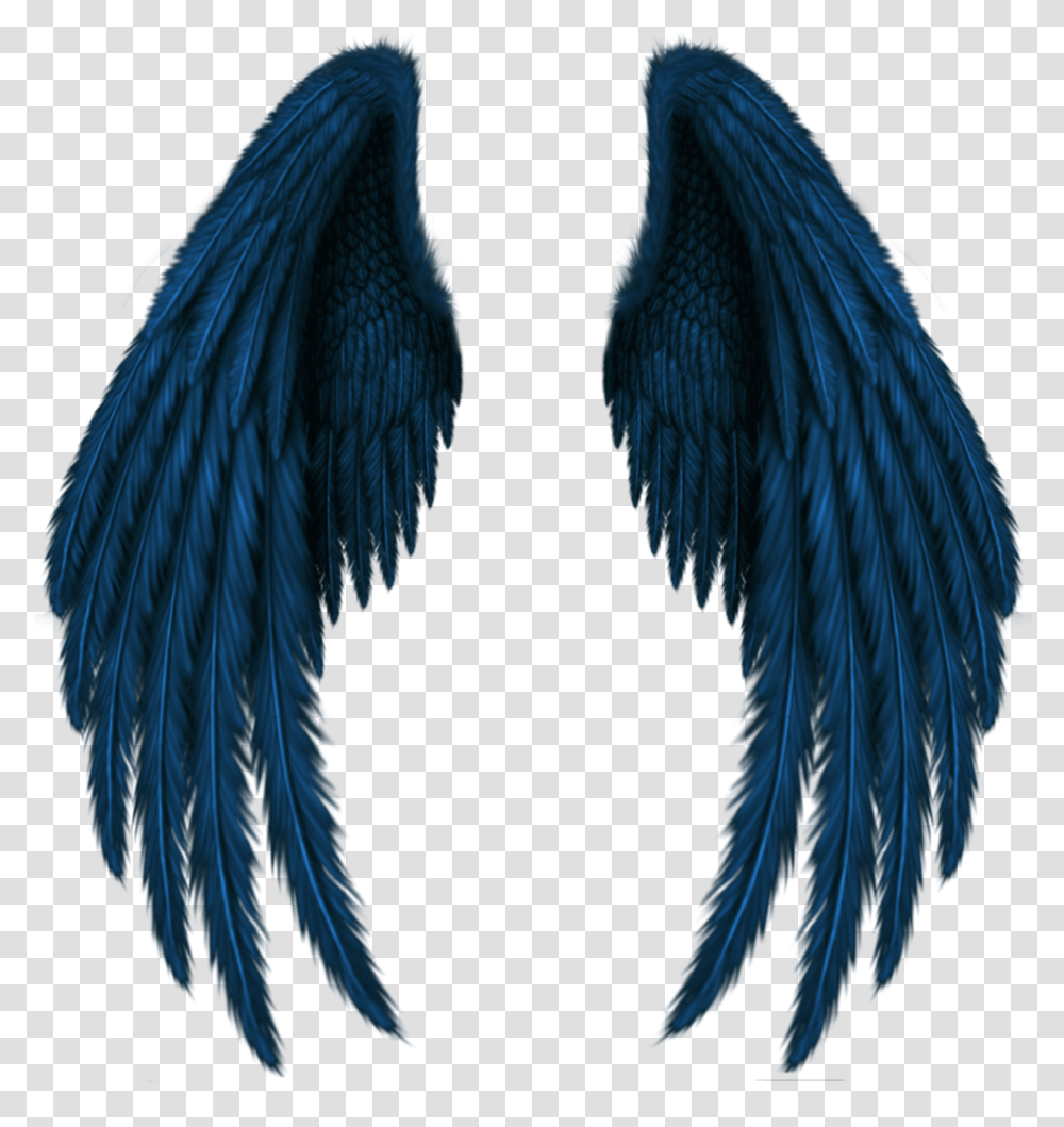 Blue Wings, Apparel, Bird Transparent Png