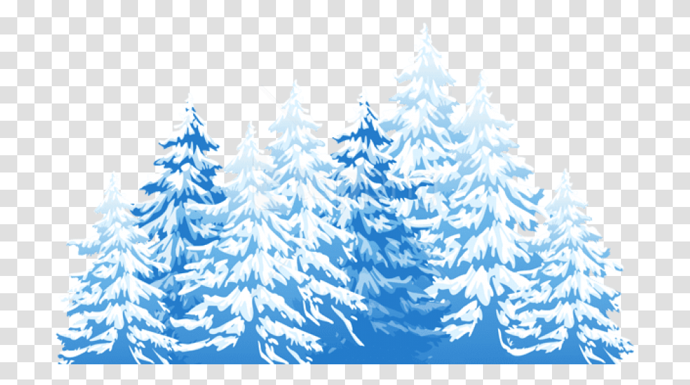 Blue Winter Pine Trees, Plant, Ornament, Christmas Tree Transparent Png
